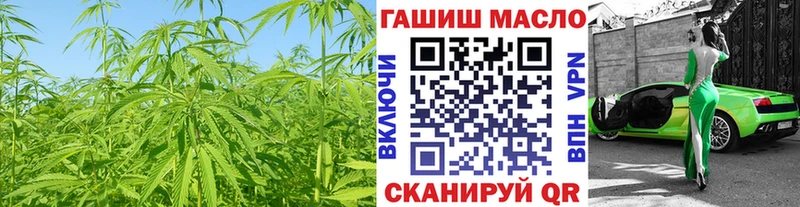 ТГК концентрат  где найти   Будённовск 